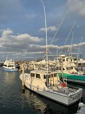Bloodline at dock