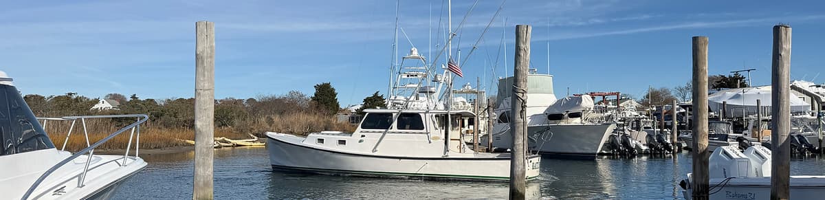 Direct Charter to Vineyard fishing charter – Cape Cod, Falmouth MA