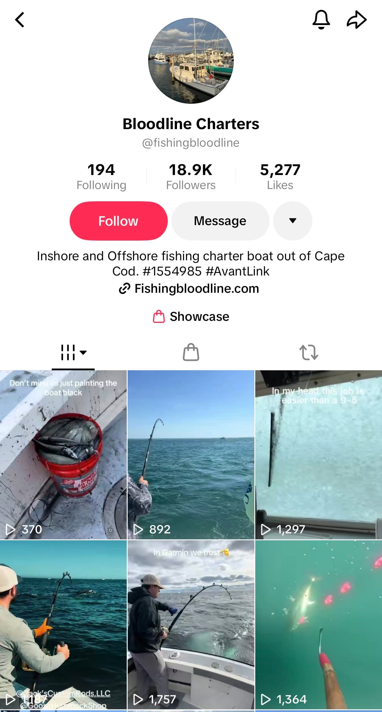 Bloodline Charters TikTok preview