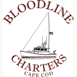 Bloodline Charters LLC logo